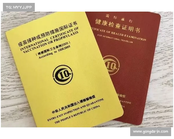 BBC：水晶宫主席批准格伊下午体检 6点健身后与其会面
